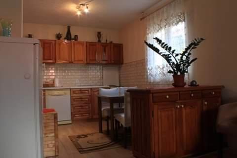 Apartment Mountain Dream Žabljak Extérieur photo