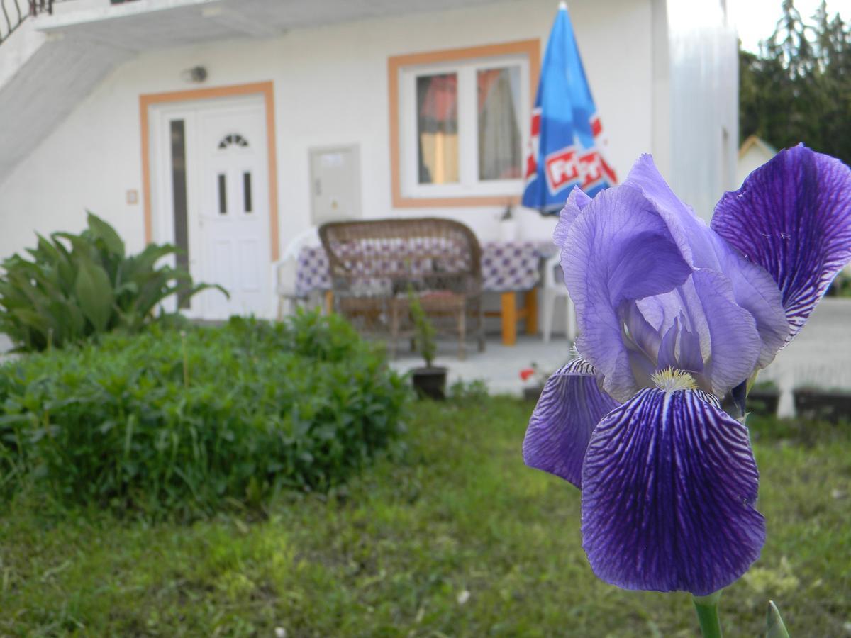 Apartment Mountain Dream Žabljak Extérieur photo